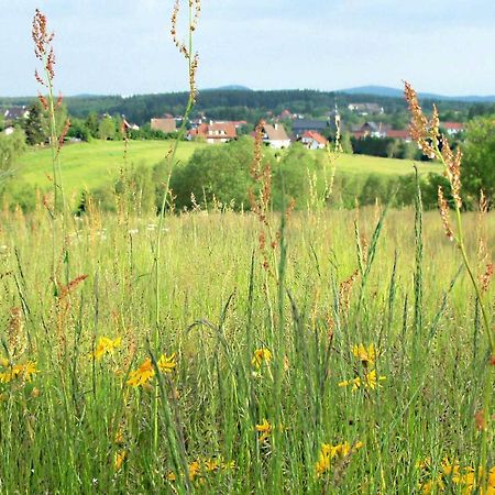 Ferienwohnung "Loni" Benneckenstein Exteriör bild