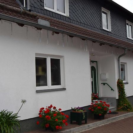 Ferienwohnung "Loni" Benneckenstein Exteriör bild