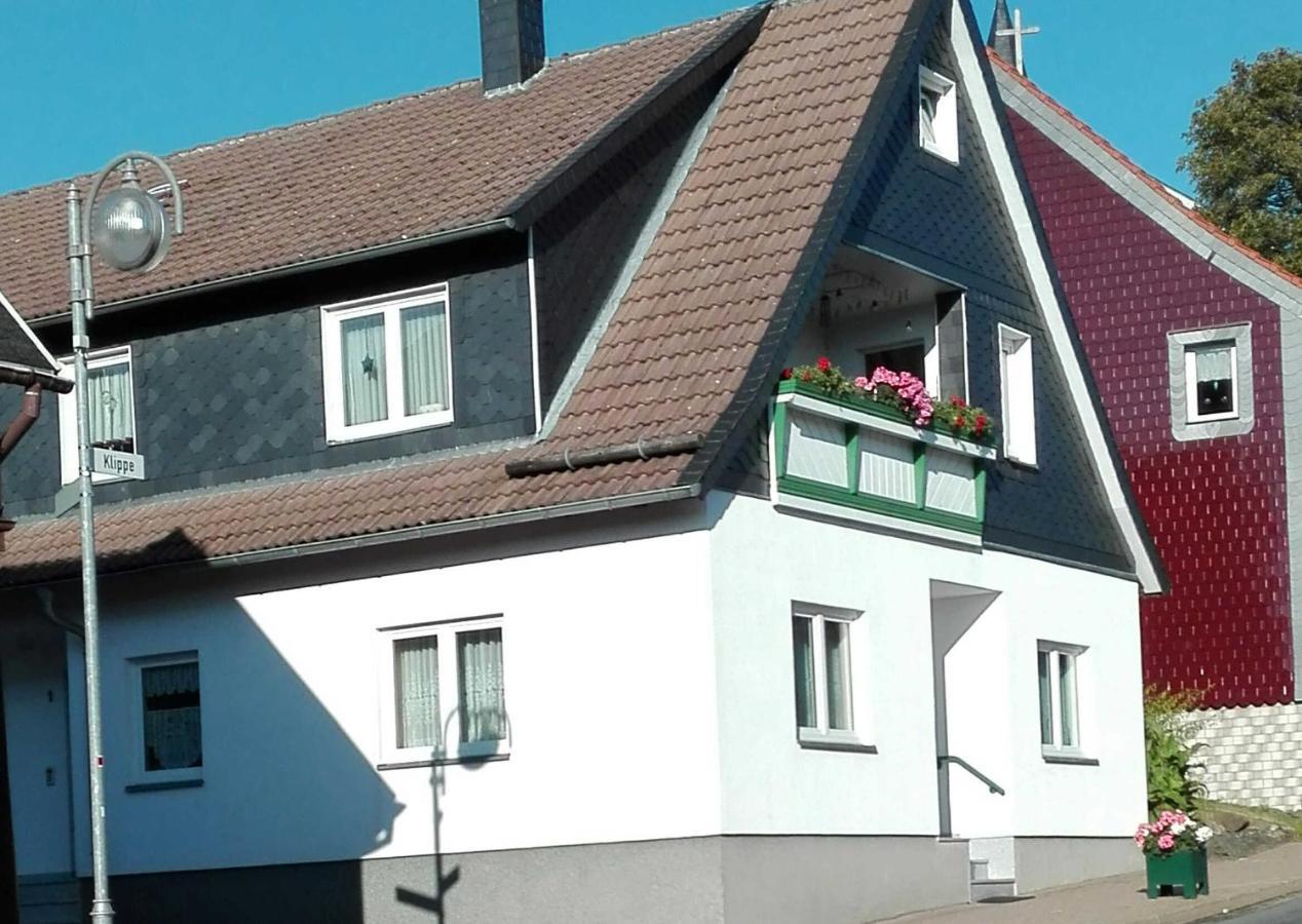 Ferienwohnung "Loni" Benneckenstein Exteriör bild